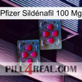 Pfizer Sildénafil 100 Mg 14